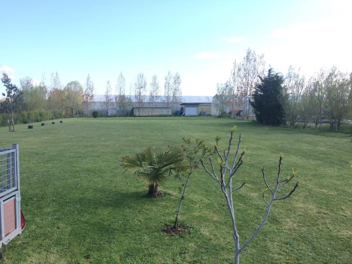 Auxptitsbonheurs B&B Saint-Jean-de-Monts Buitenkant foto